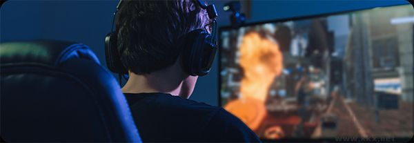 Raylink遠程控制