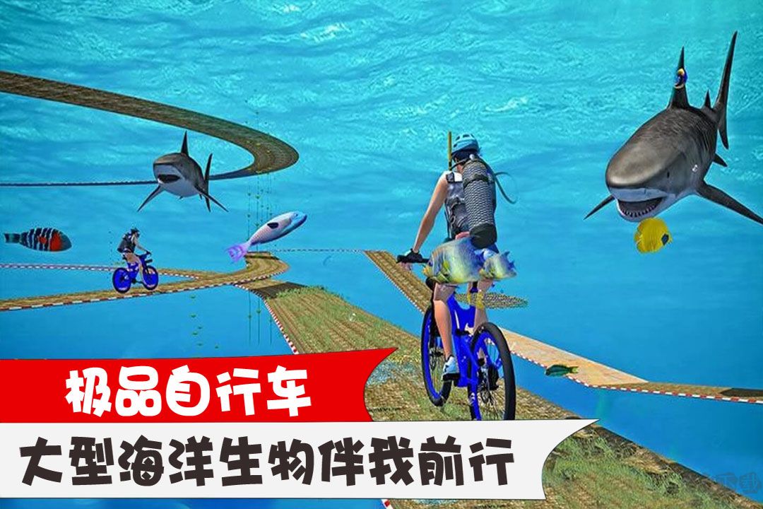 極品自行車(chē)
