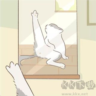 遇見你的貓