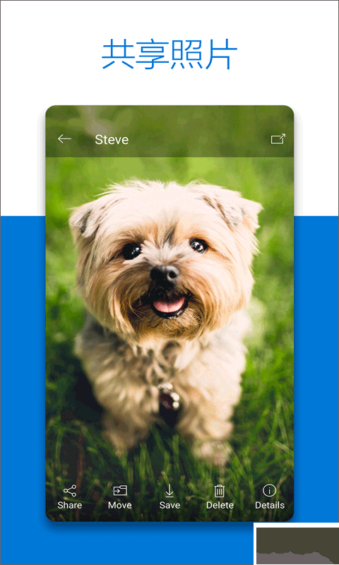 OneDrive(微軟云盤)