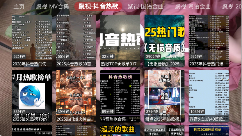 聚視音樂(lè)