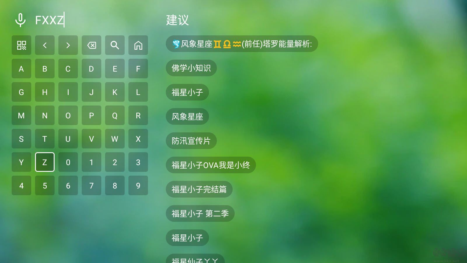 肥貓TV