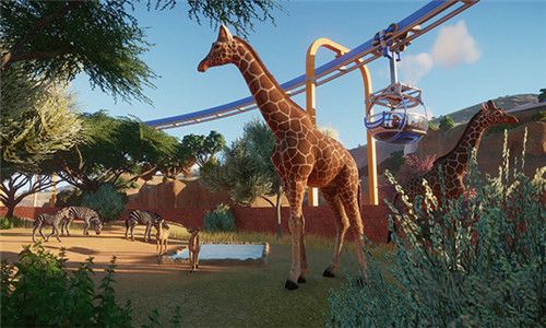 動物園之星