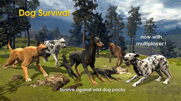 狗狗生存模擬器(Dog Survival Simulator)