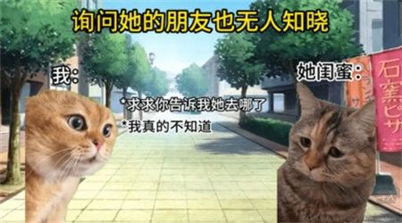 貓meme搞怪冒險(xiǎn)