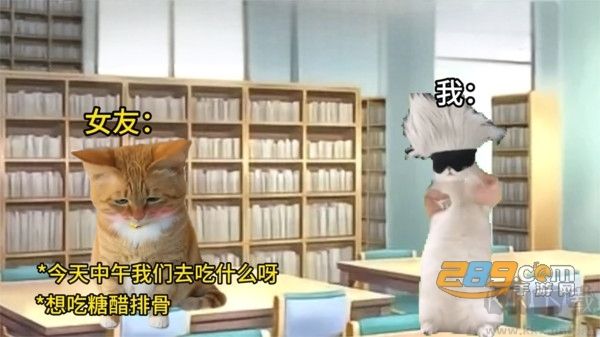貓meme搞怪冒險(xiǎn)