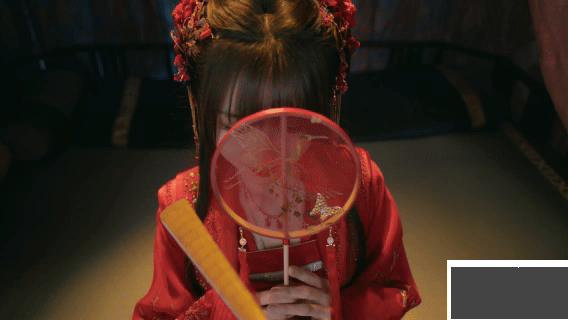 完蛋我被美女包圍了2