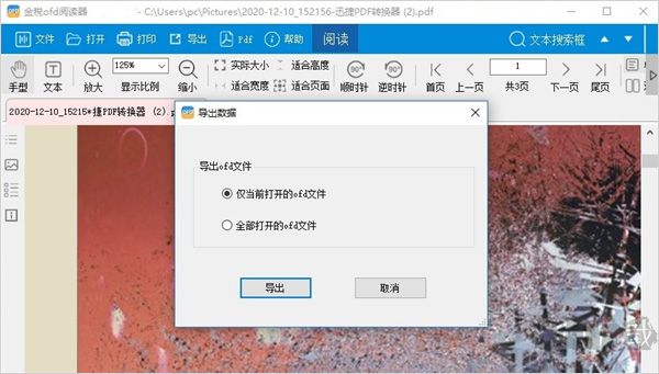 金稅ofd電子發(fā)票閱讀器