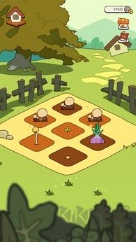 有機(jī)蔬菜農(nóng)場