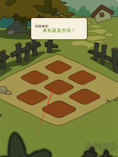 有機(jī)蔬菜農(nóng)場