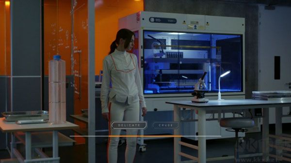 復(fù)體(The Complex)