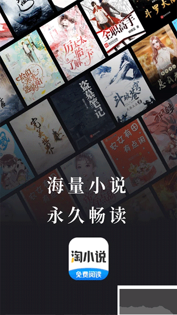 淘小說app