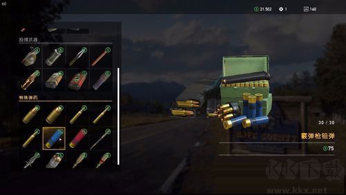 孤島驚魂5(Far Cry 5)