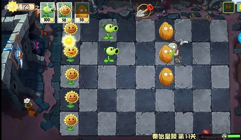 植物大戰(zhàn)僵尸