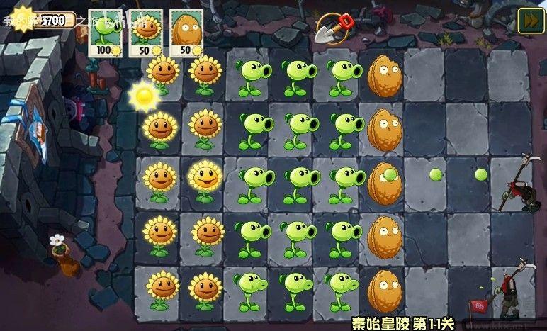 植物大戰(zhàn)僵尸