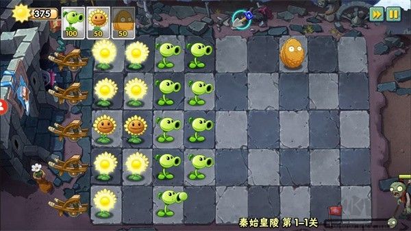 植物大戰(zhàn)僵尸