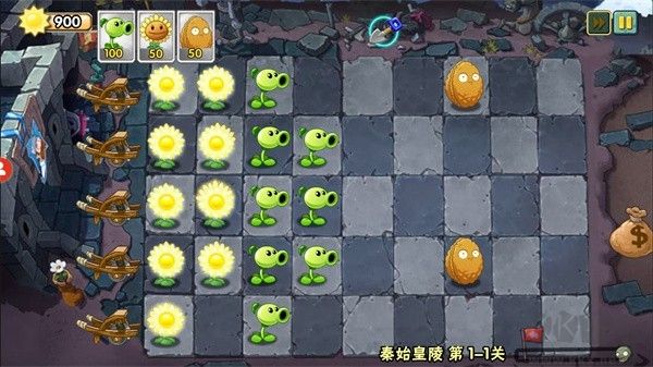 植物大戰(zhàn)僵尸