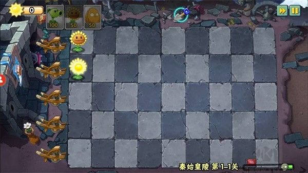 植物大戰(zhàn)僵尸