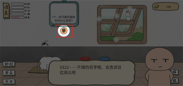 主播和貓的故事