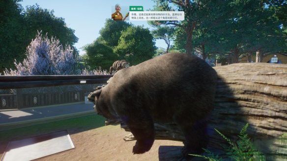 動(dòng)物園之星