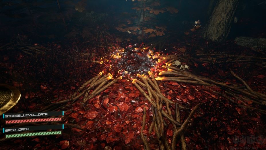 后室營(yíng)救行動(dòng)