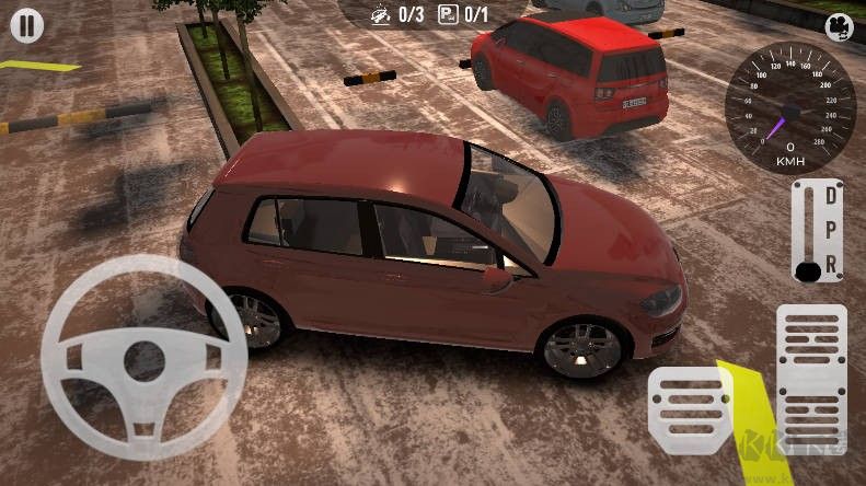 真實(shí)停車駕駛