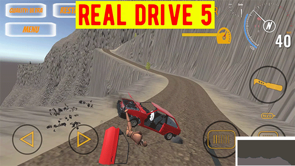 真正的驅(qū)動(dòng)器5(Real Drive 5)