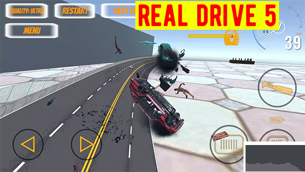 真正的驅(qū)動(dòng)器5(Real Drive 5)