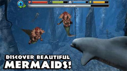 海豚模擬器(Dolphin Sim)