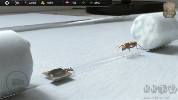 螞蟻模擬大亨(Ant Sim Tycoon)