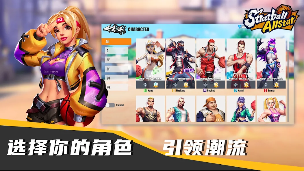 街球藝術(shù)(Streetball Allstar)